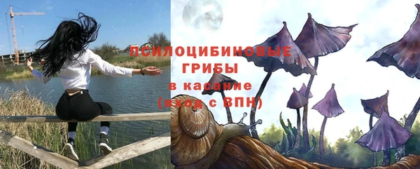 спайс Алексин