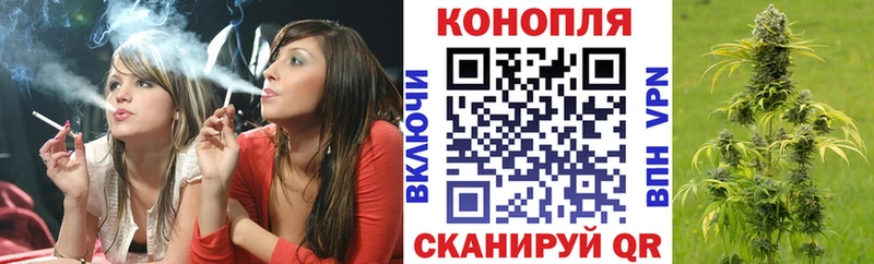 Шишки марихуана OG Kush  Динская 